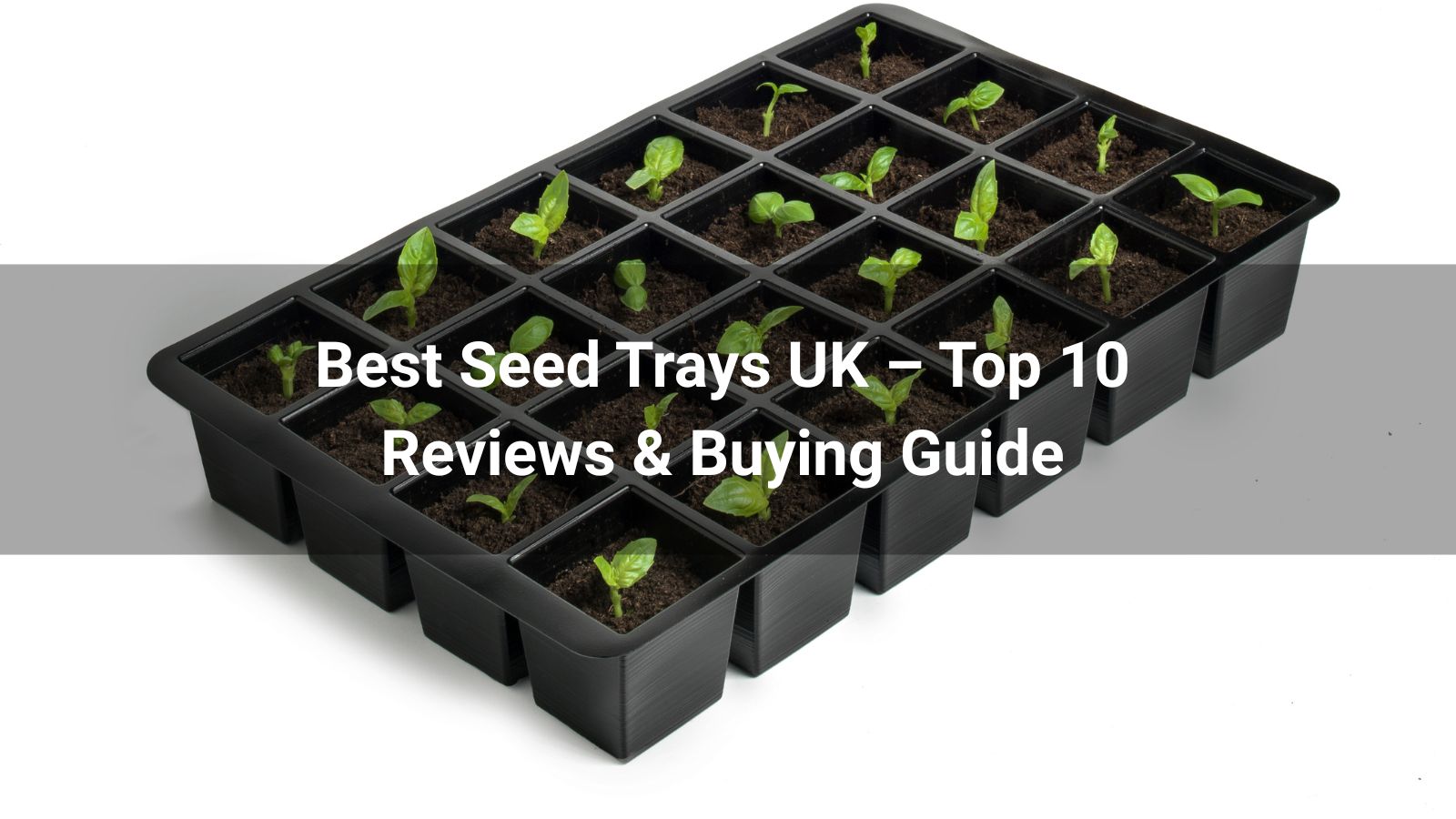 Best Seed Trays UK 2026 – Top 10 Reviews & Buying Guide - Linkwin